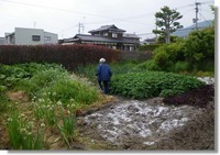 100509-02.jpg