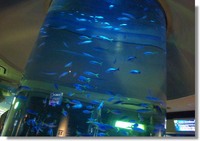 100811-10.jpg