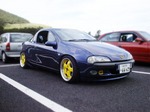 050629-tigra02.jpg