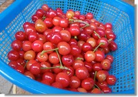 100509-09.jpg