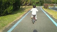 2011_11_27_13_37_28.jpg