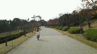 2011_11_27_14_08_26.jpg