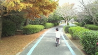 2011_11_27_15_05_49.jpg