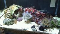 2011_11_27_23_27_50.jpg