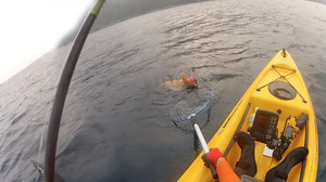 20120612-03resize.jpg