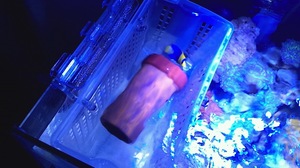 2012_03_25_21_43_30.jpg