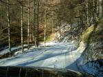 CIMG0594-w500.jpg