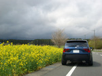 CIMG2609-02.jpg