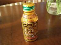 IMGP6771.JPG