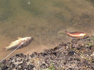 IMG_0289.jpg