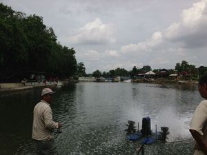 IMG_0291.jpg