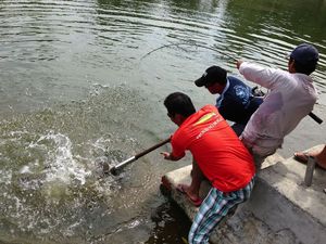 IMG_0299.jpg