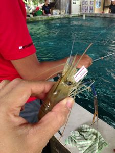 IMG_0332.jpg