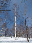 P2191415.JPG