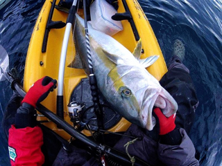 image-20121231201419.png