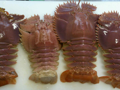 image-20130318120826.png